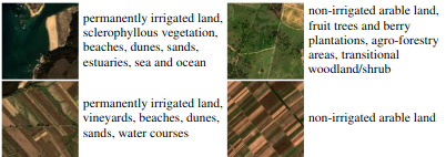 Figure 2: Sample images with labels from BigEarthNet-S2