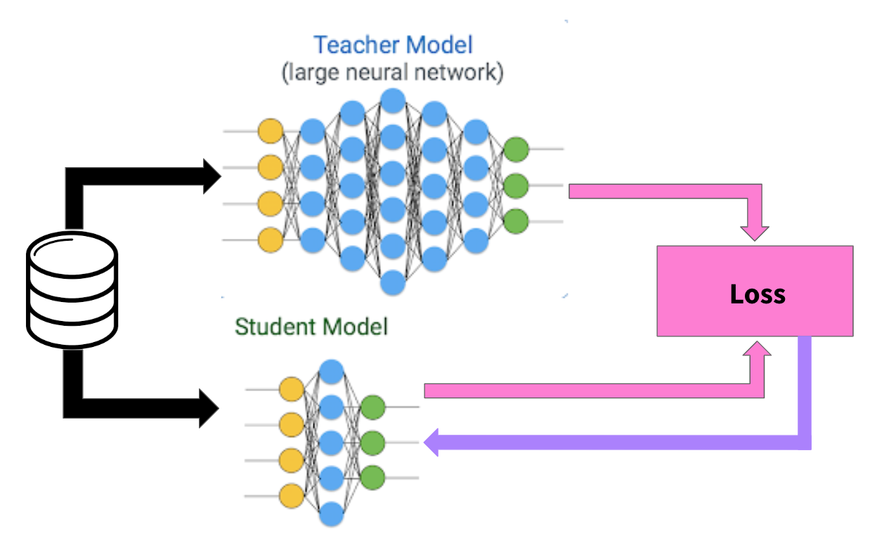 Figure 4: SimCLR student/teacher knowledge distillation