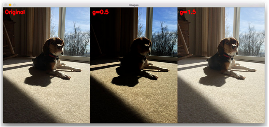 Figure 13: Effects of gamma factor on brightness of an image